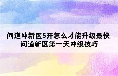 问道冲新区5开怎么才能升级最快 问道新区第一天冲级技巧